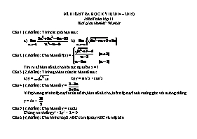 Đề kiểm tra kỳ II môn Toán học lớp 11